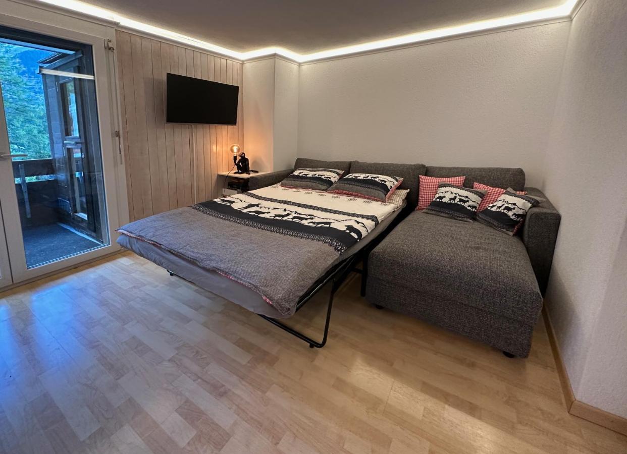 Chalet Ribi Grindelwald Buitenkant foto